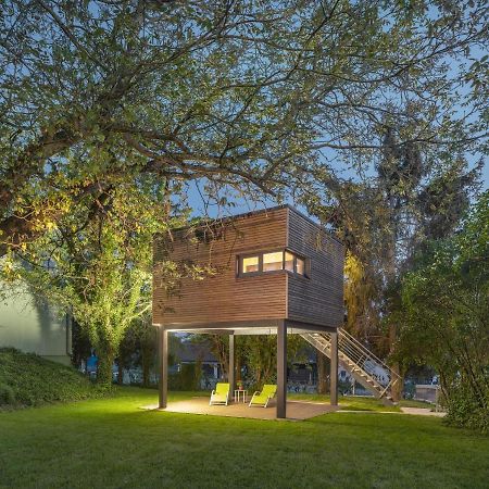 Baumhaus Im Vogelgesang Lägenhet Heuchelheim-Klingen Exteriör bild